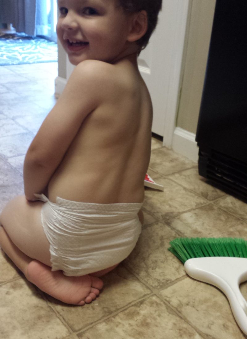 Potty Training 101