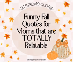 funny fall quotes for moms that are totally relatable