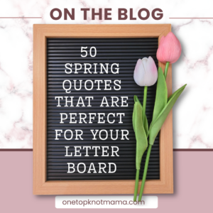 50 spring quotes that are perfect for your letterboard