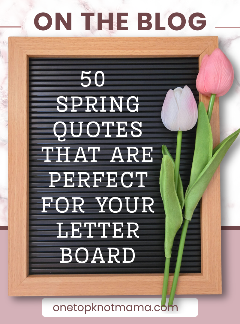 50 Funny Puns & Slightly Unhinged Spring Letterboard Quotes Moms Love