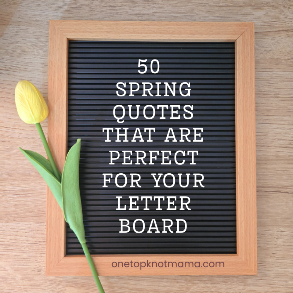 funny spring letterboard quotes for moms